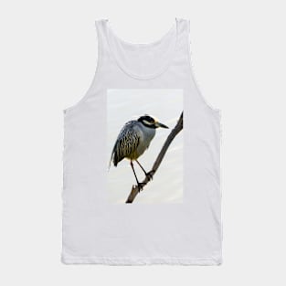 Yellow-crowned Night Heron Resting On A Branch Tank Top